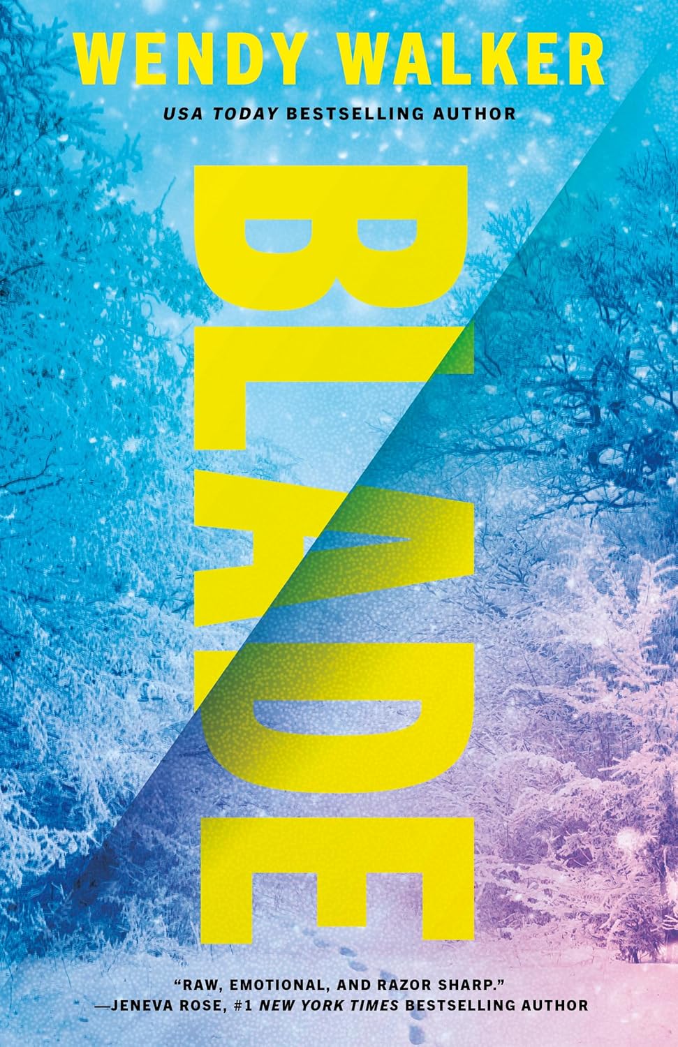 blade book review